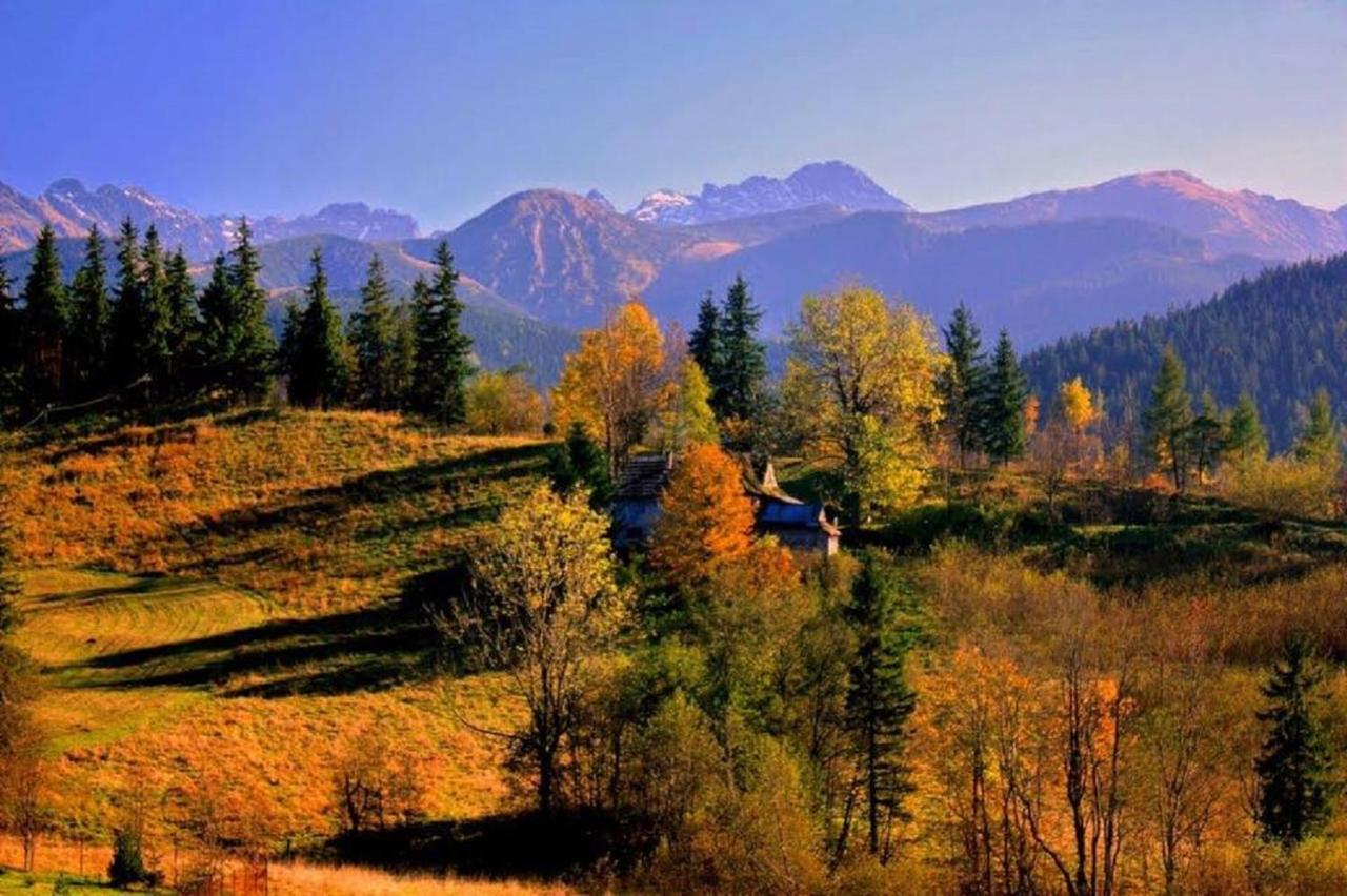 Willa Strazyska Zakopane Exteriér fotografie