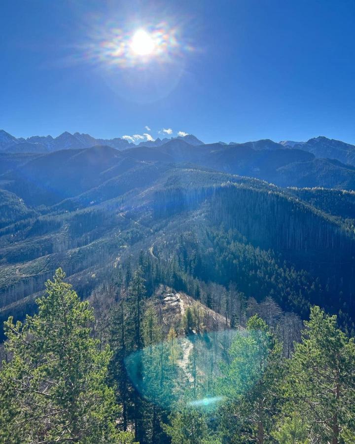 Willa Strazyska Zakopane Exteriér fotografie